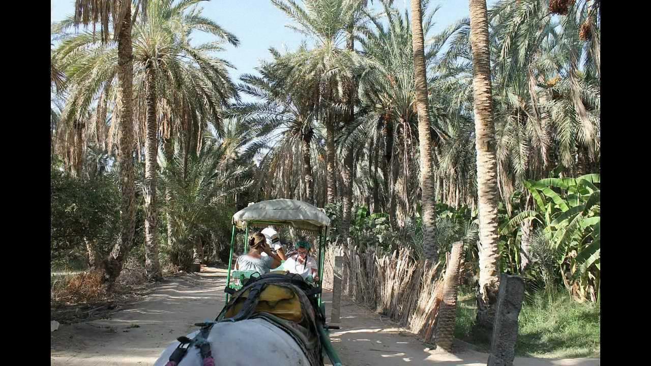 Vila Dar Ezzahra *